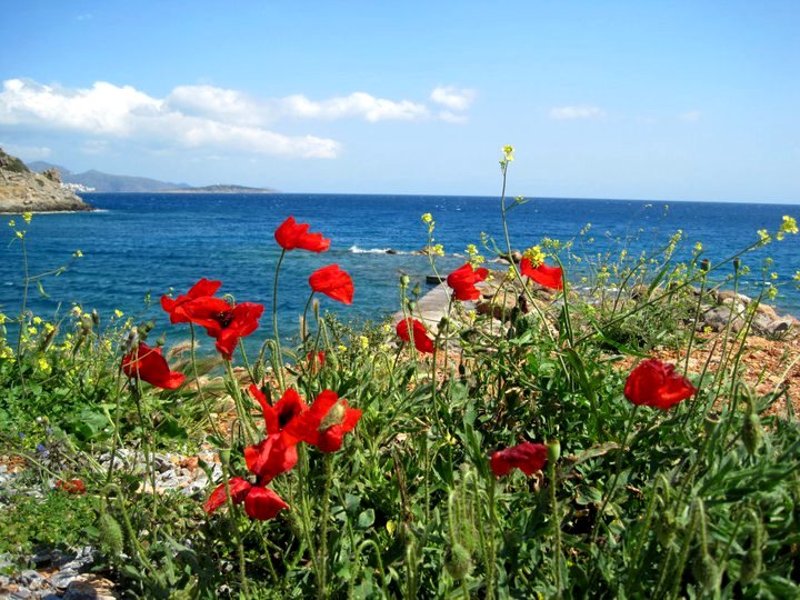 Why Crete is such a wonderful place to travel to